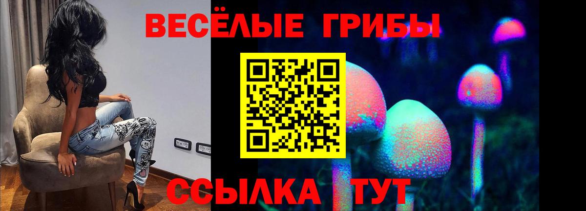 Сальск  Псилоцибиновые грибы Cubensis  Вход с VPN  Галлюциногенные грибы Psilocybe 